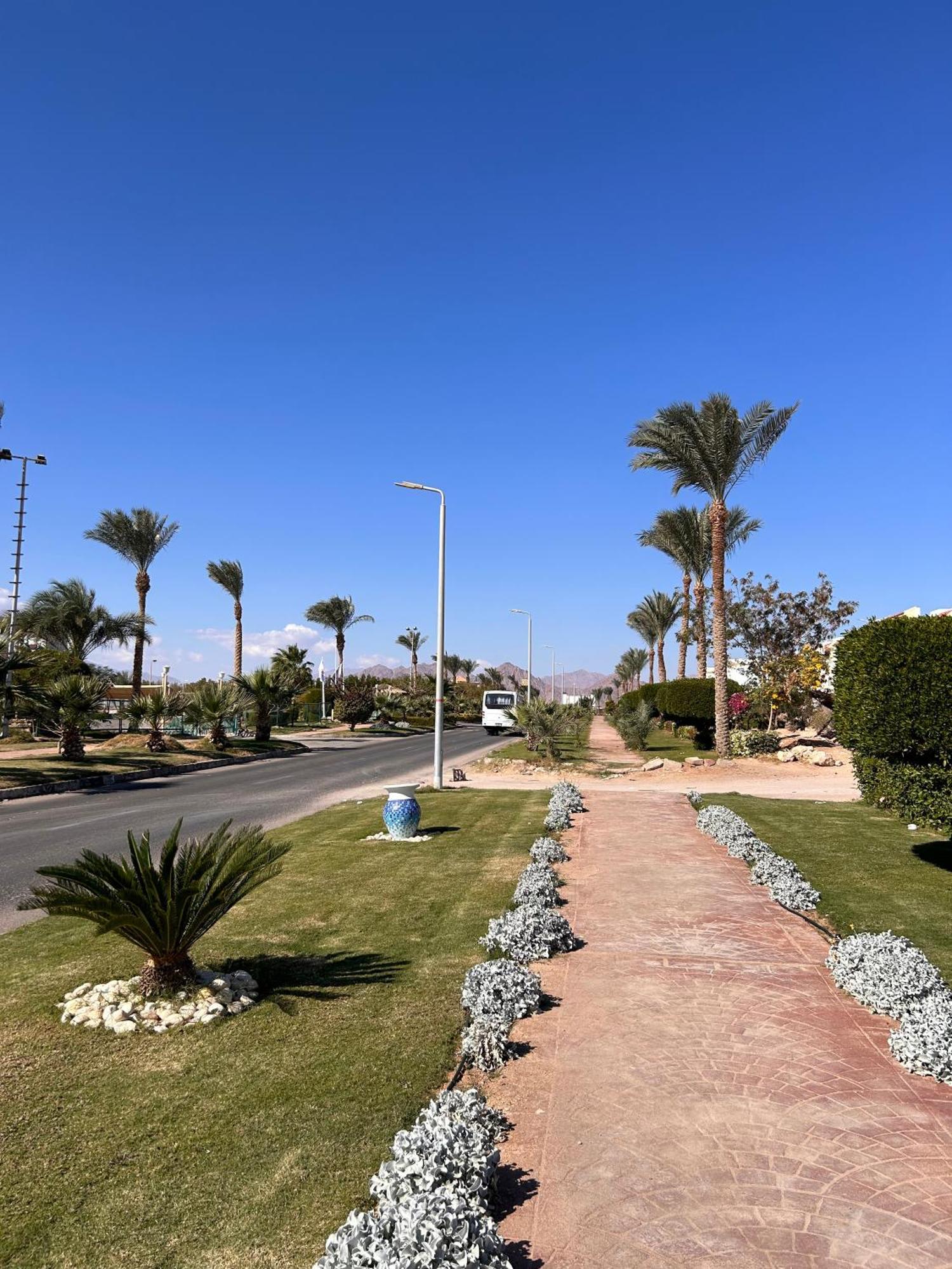 Cosy Studio On The First Floor With Lovely Terrace And Personal Garden Area, Pool View And Free Beach Access In Sharm Hills Resort Eksteriør bilde