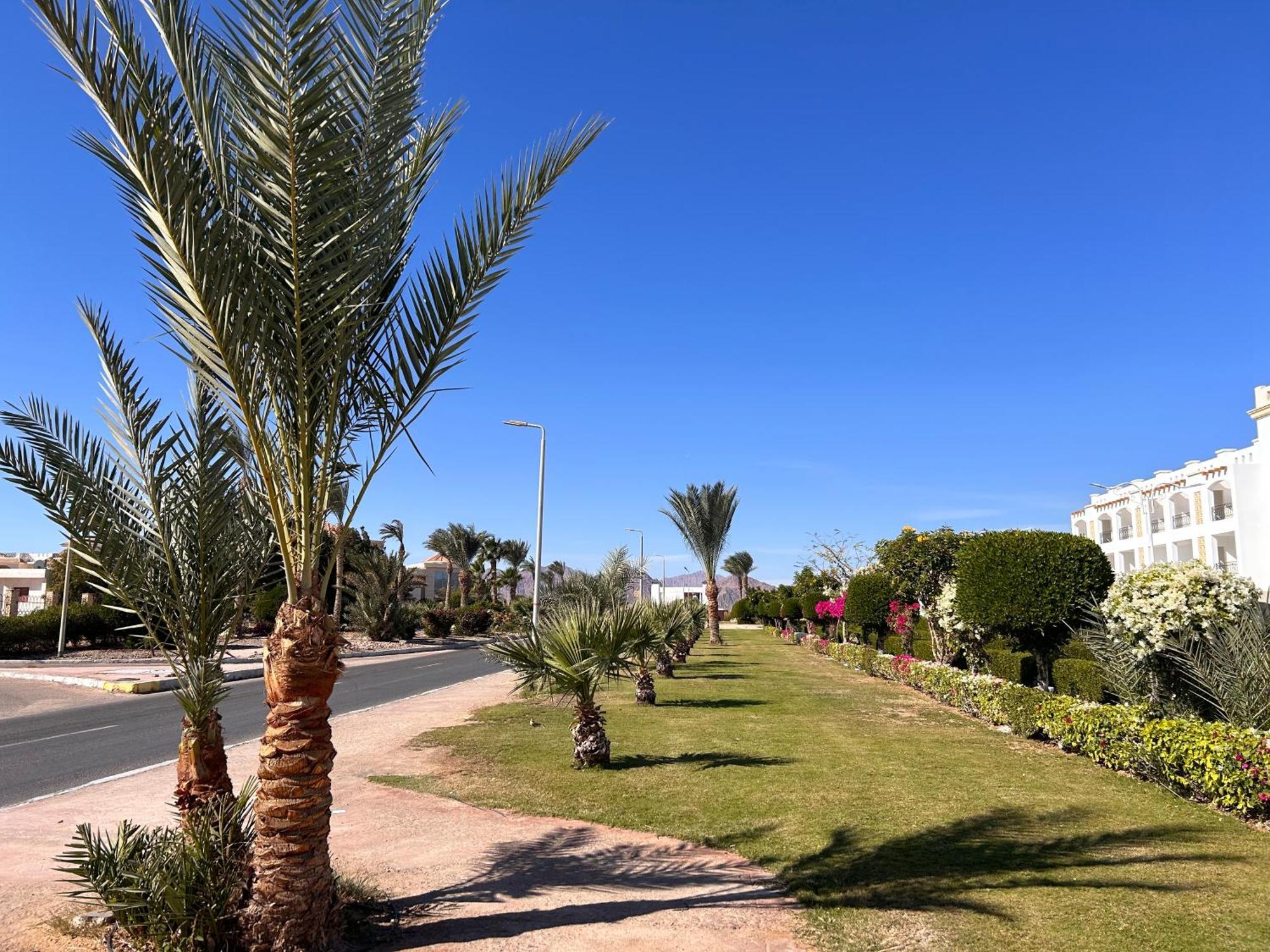 Cosy Studio On The First Floor With Lovely Terrace And Personal Garden Area, Pool View And Free Beach Access In Sharm Hills Resort Eksteriør bilde